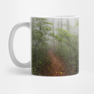 Lost in the Smoky Mountains Mug